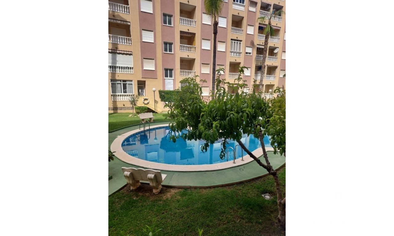 apartament - Rynek wtorny  - Torrevieja - BRE-SOL-25195