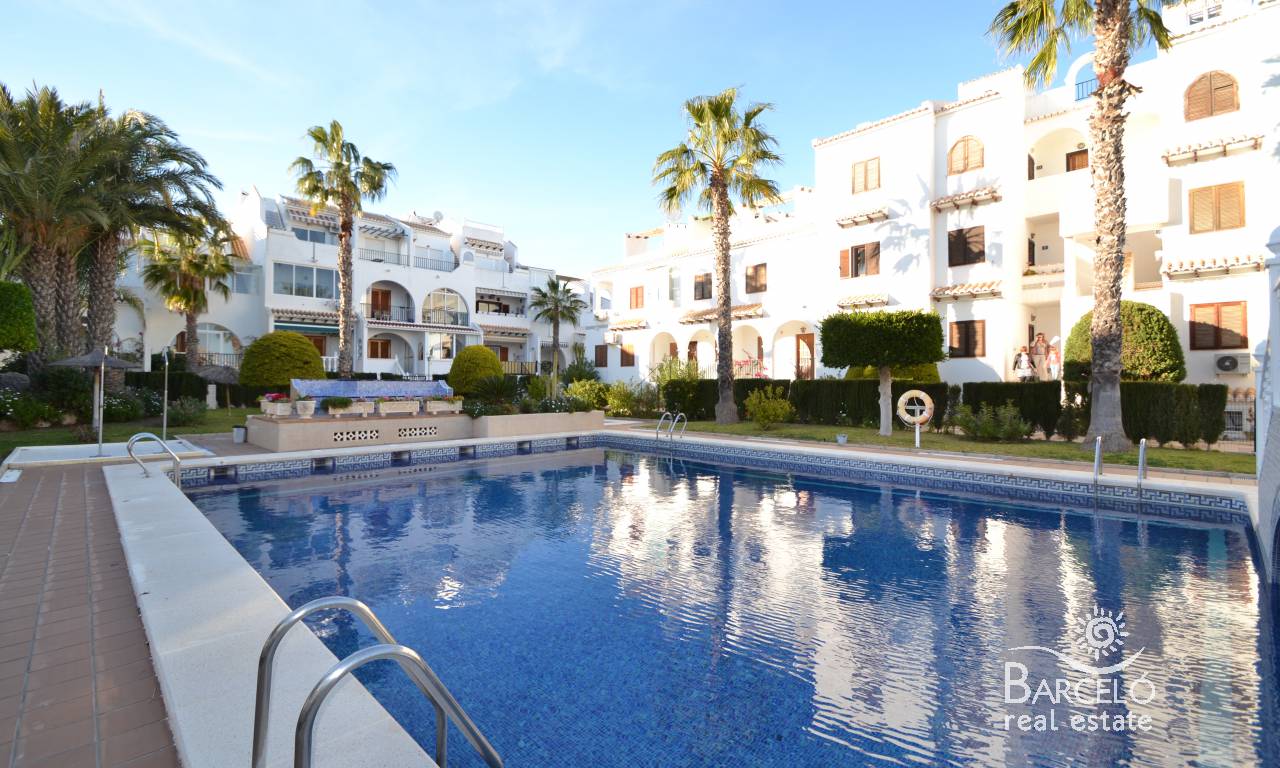 Apartamento - Alquiler - Ciudad Quesada - AL41