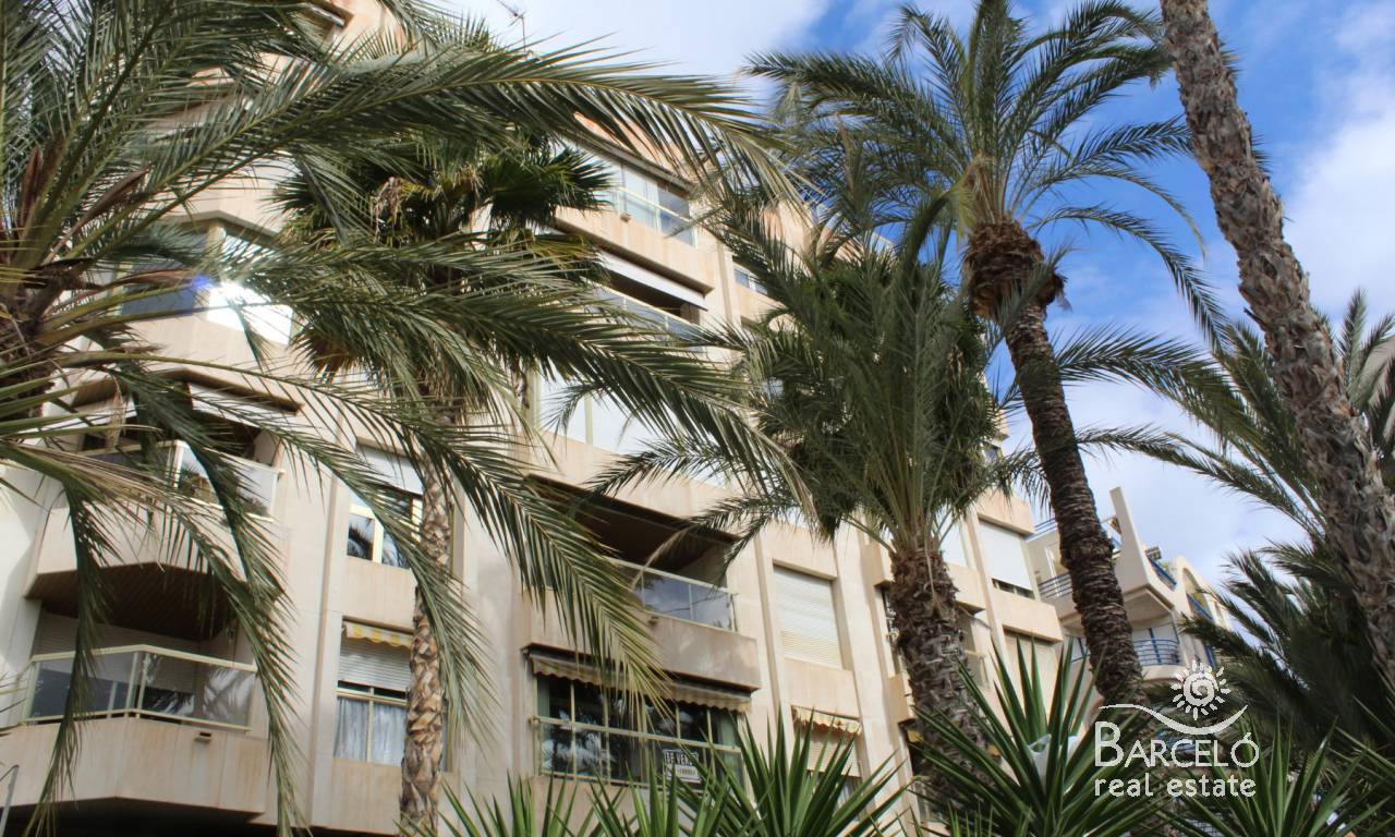 Apartment - Resale - Torrevieja - 5205