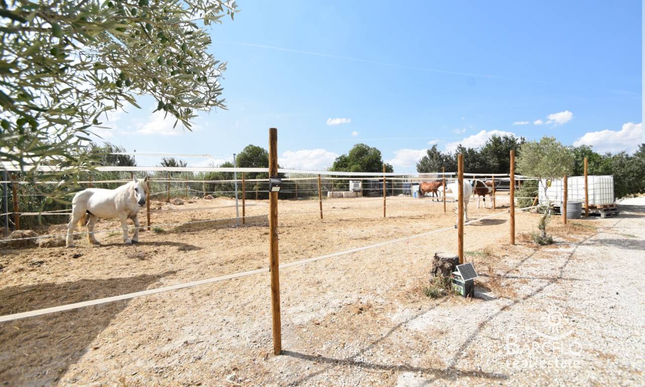 Country Property - Resale - Elche - 2207