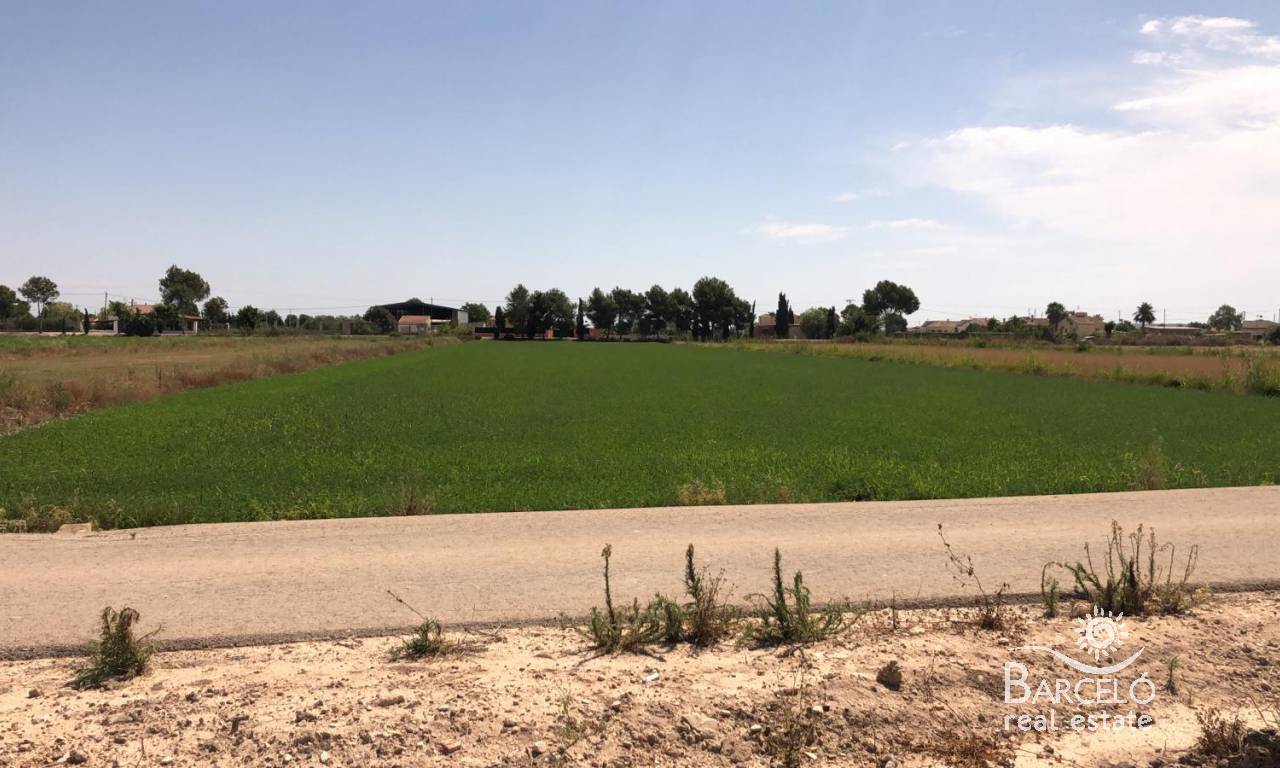 dzialka - Rynek wtorny  - Dolores - 1498