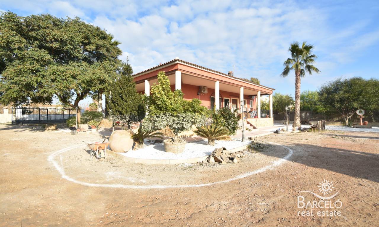 Finca - la revente - Dolores - 1133