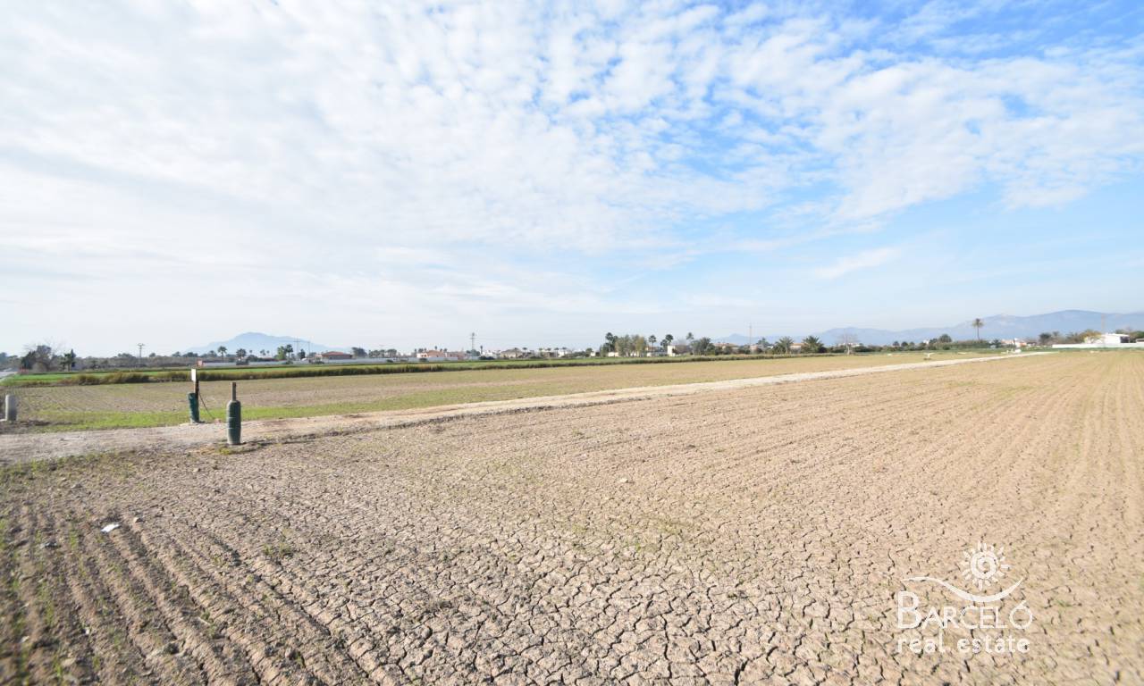 Parcela-Solar  - Inversiones - Catral - 1810