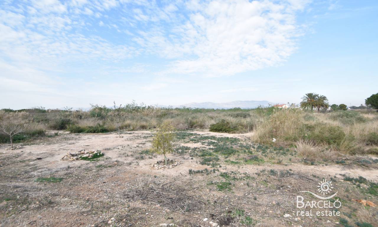 Parcela-Solar  - Inversiones - Catral - 1811