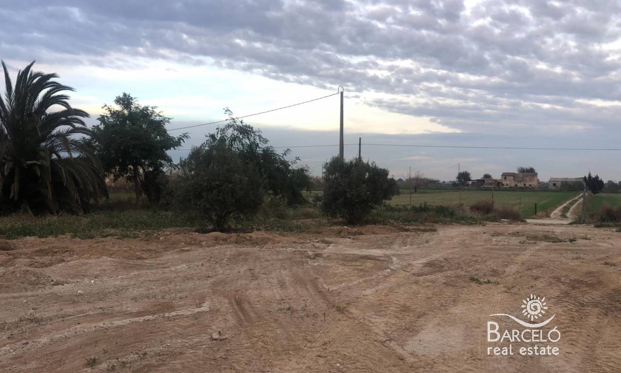 Parcela-Solar  - Reventa - Catral - 1591