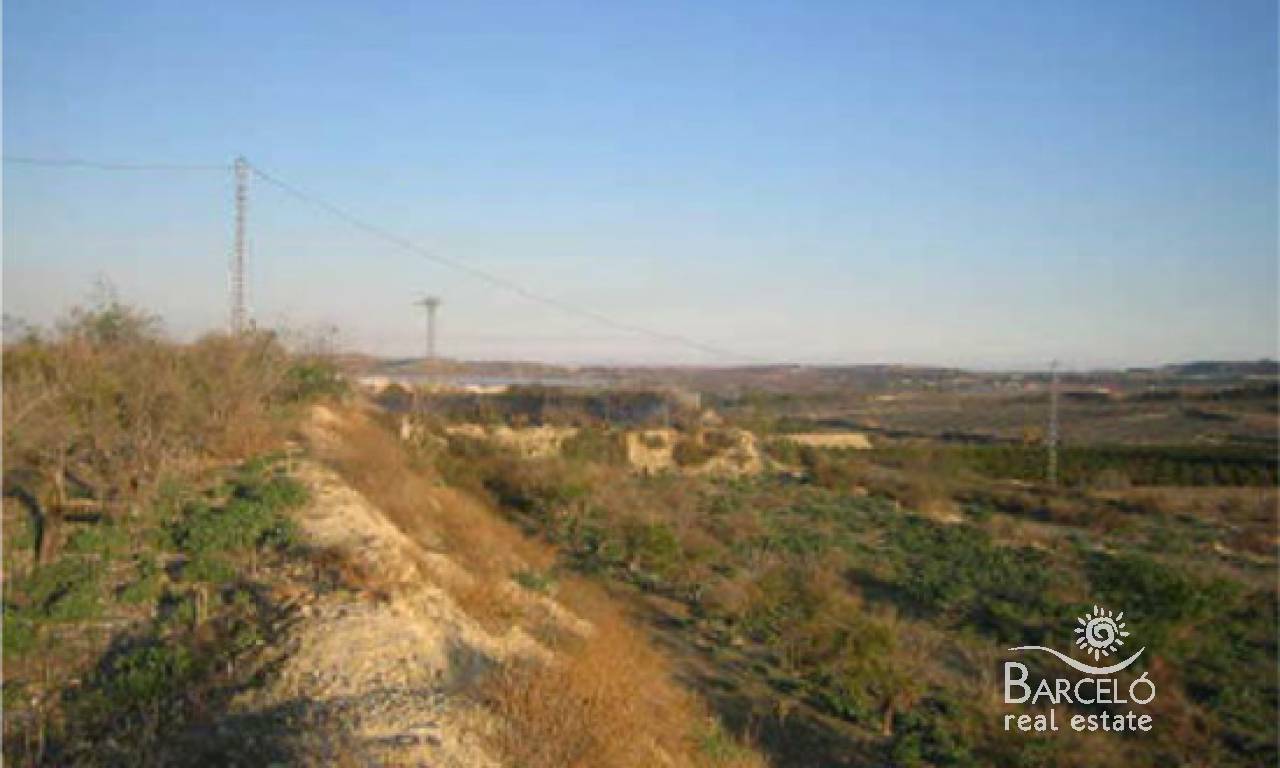 Parcelle  - Investment - Torremendo - 663