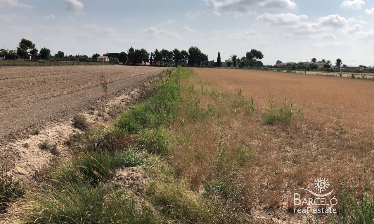 Perceel - Wederverkoop - Catral - 1317