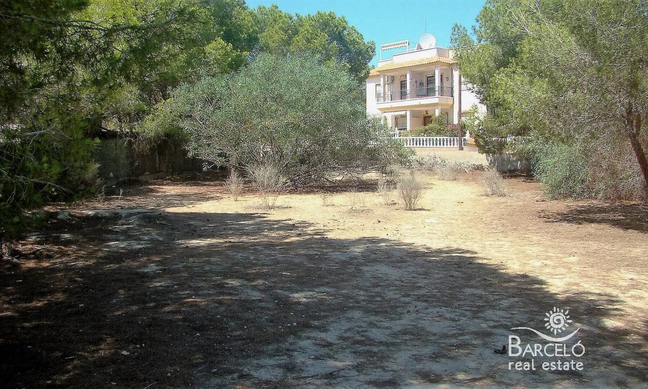 Plot  - Resale - Algorfa - 792