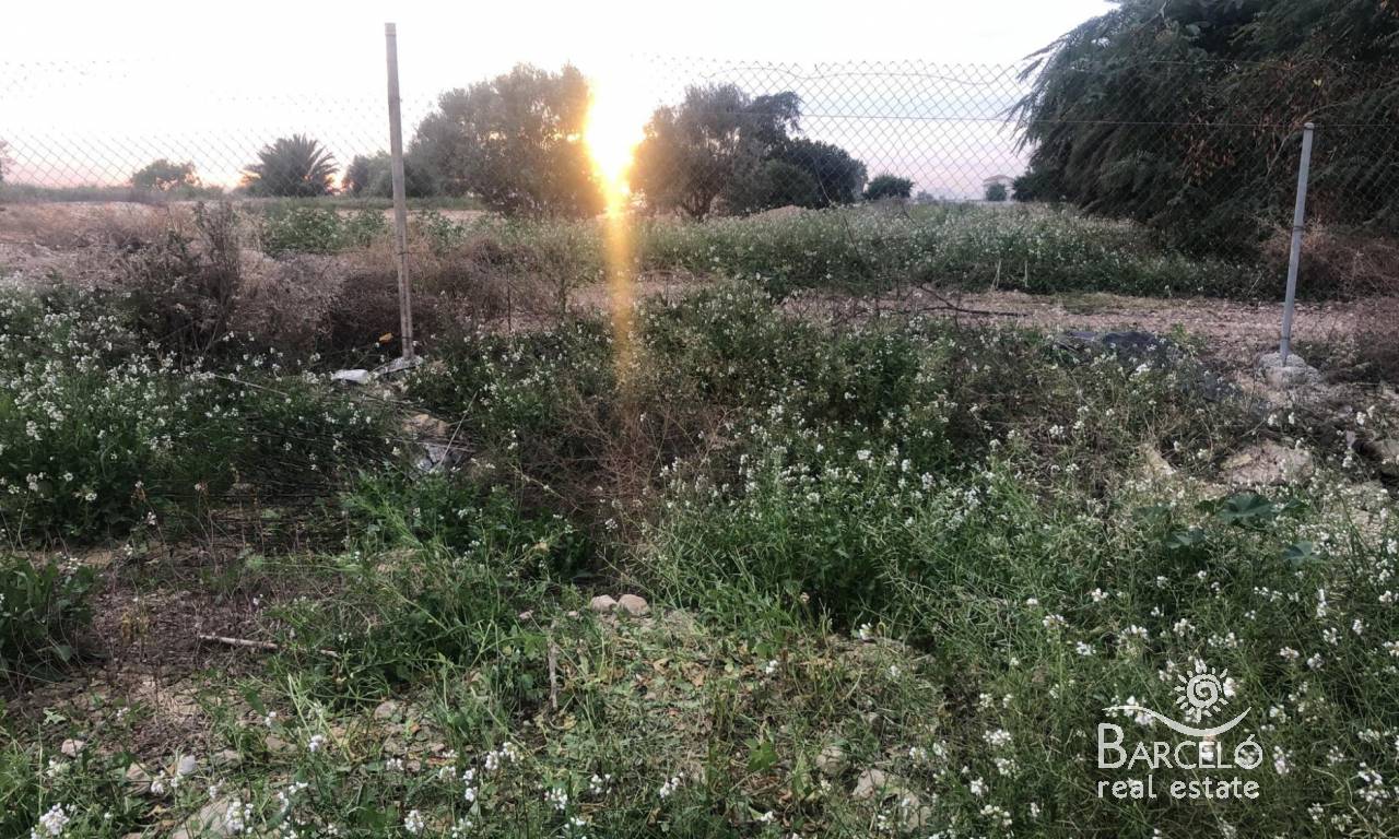 Plot  - Resale - Catral - 1592