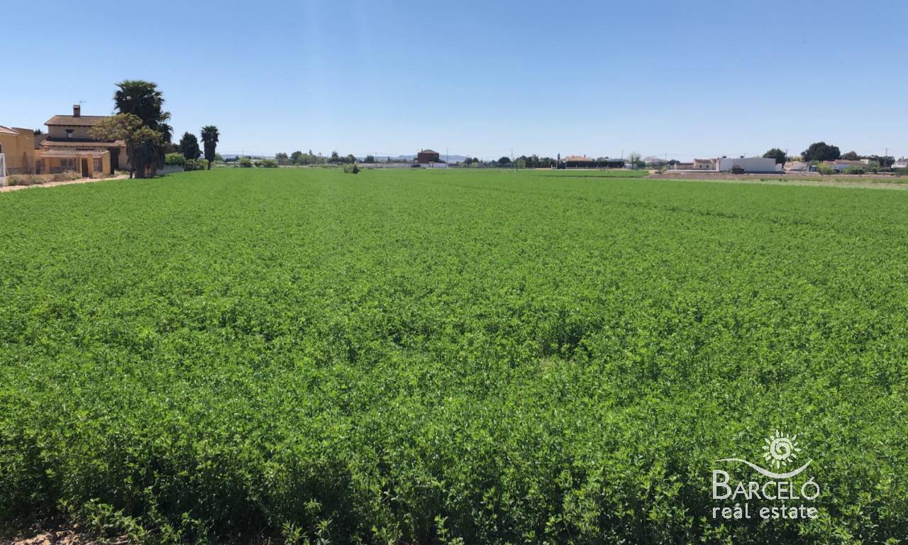 Plot  - Resale - Dolores - 1445