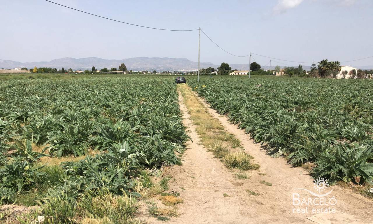 Plot  - Resale - Dolores - 1448