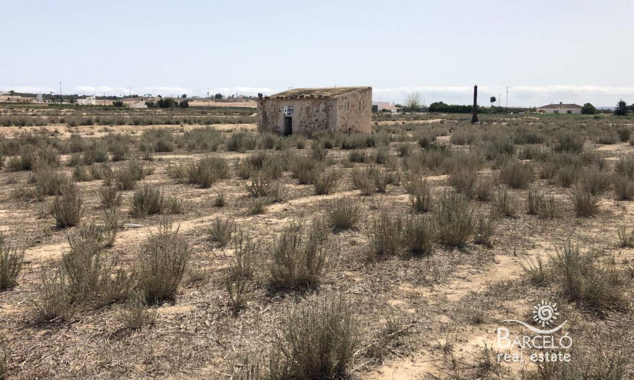 Plot  - Resale - Elche - 1449