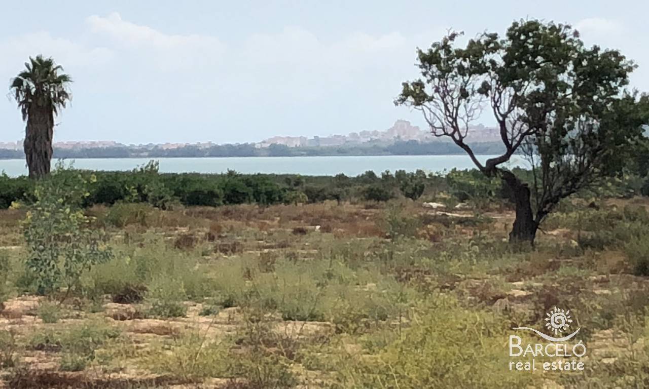 Plot  - Resale - Los Montesinos - 1321