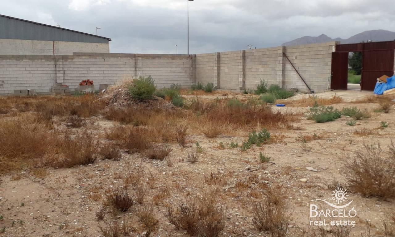 Terrain-Solar - investissements - Albatera - 1516