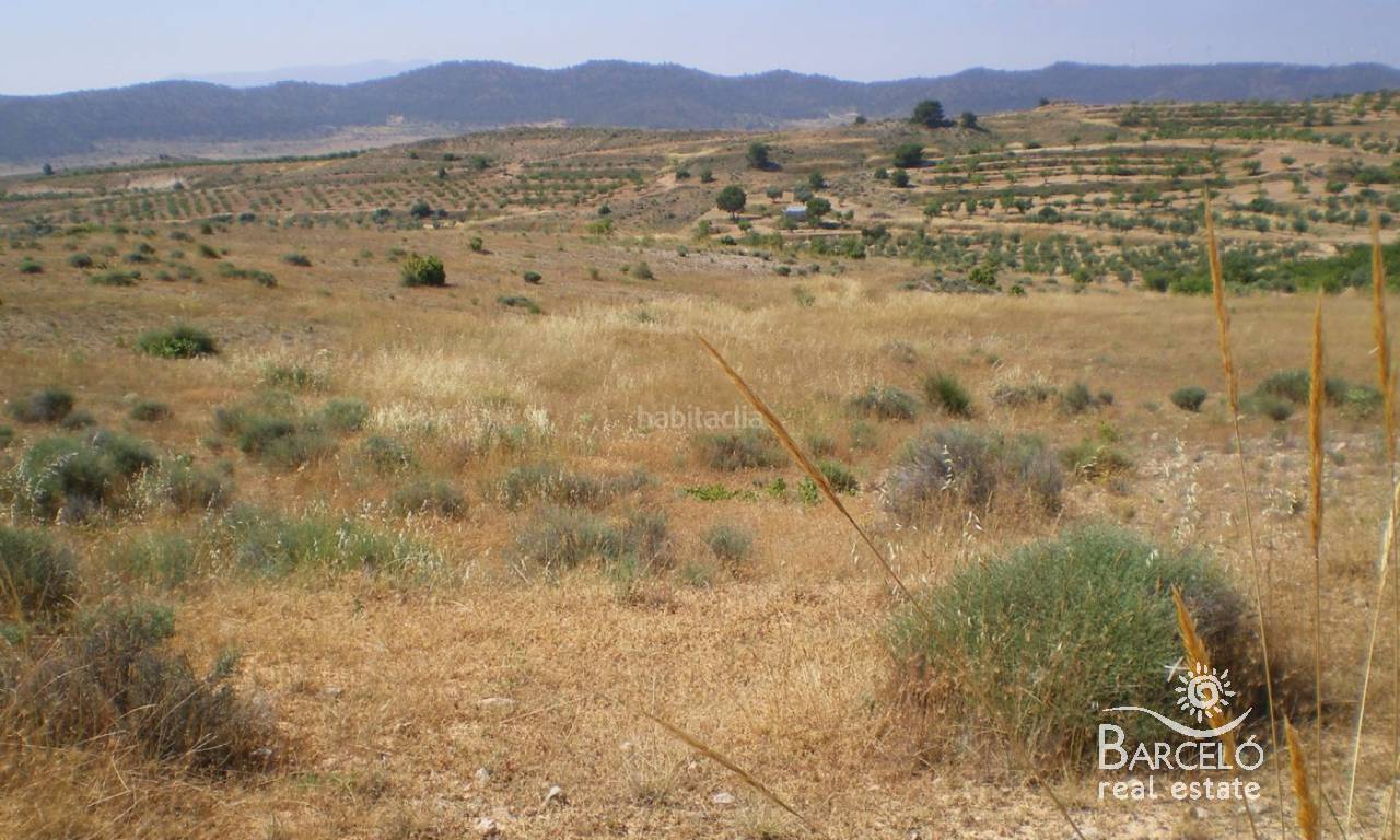 Terrain-Solar - la revente - Murcia - 1754