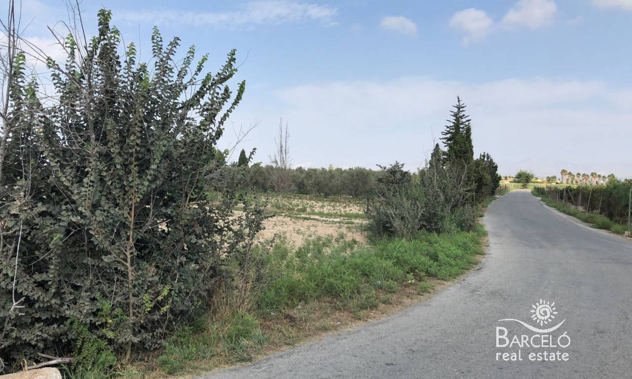 tomten - Videresalg - Catral - 1316