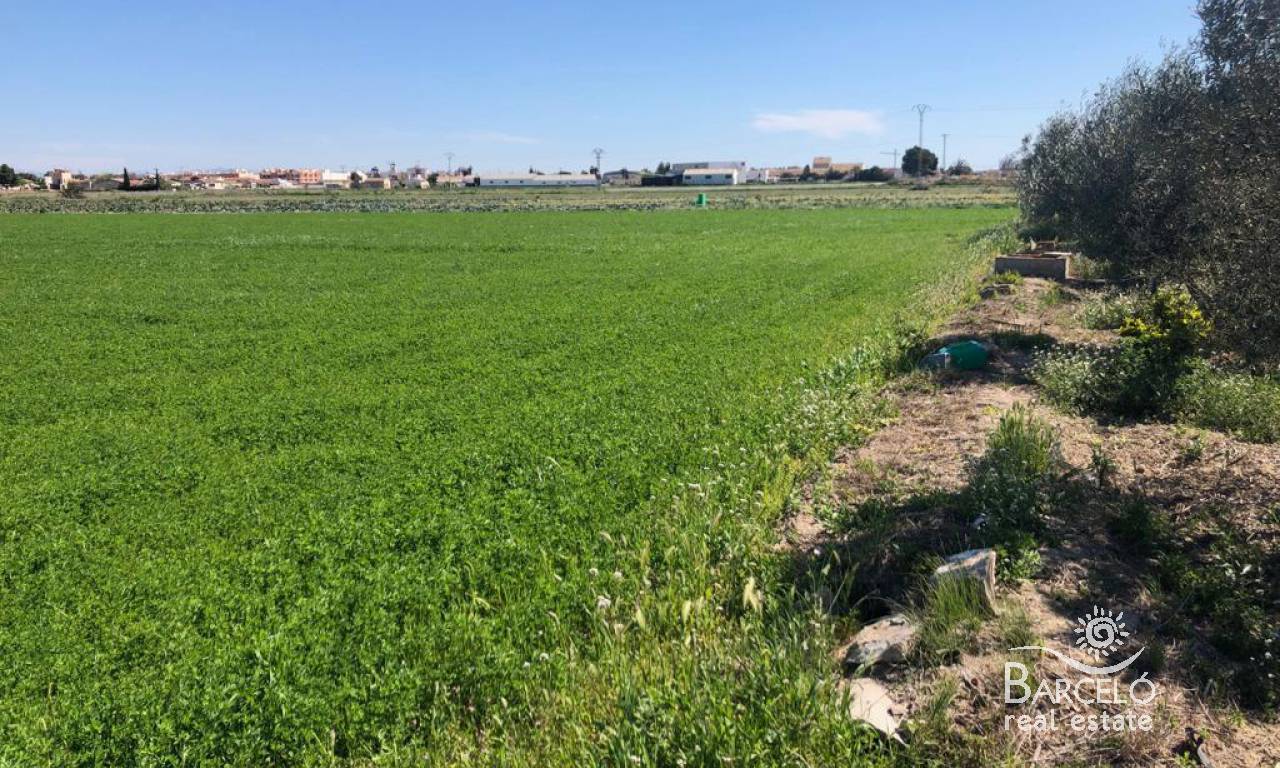 tomten - Videresalg - Dolores - 1441