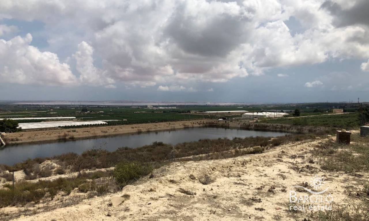 tomten - Videresalg - San Miguel de Salinas - 1320