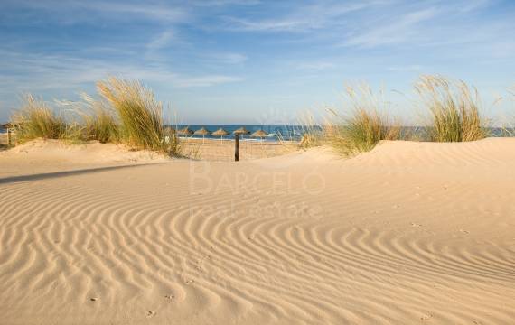 The beaches of Guardamar 