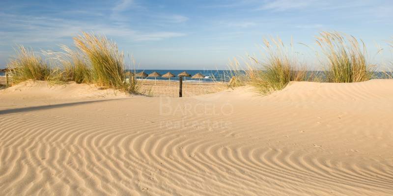 The beaches of Guardamar 