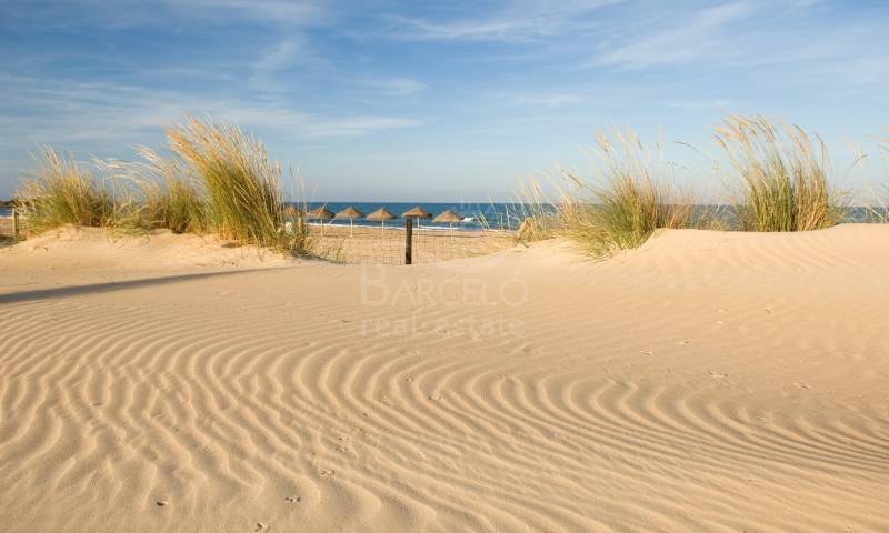 De stranden van Guardamar 