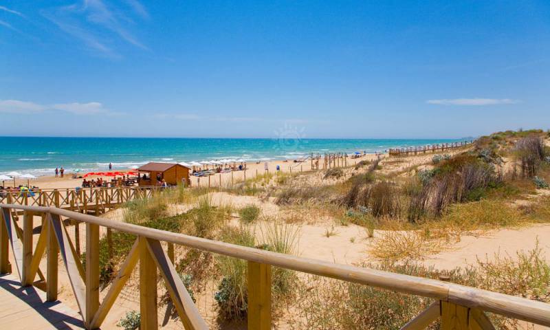 Stranden in Guardamar del Segura