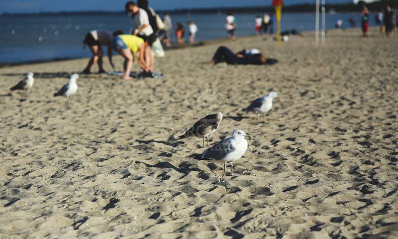  Las propiedades en venta en Orihuela Costa son sinónimo de ilusión
